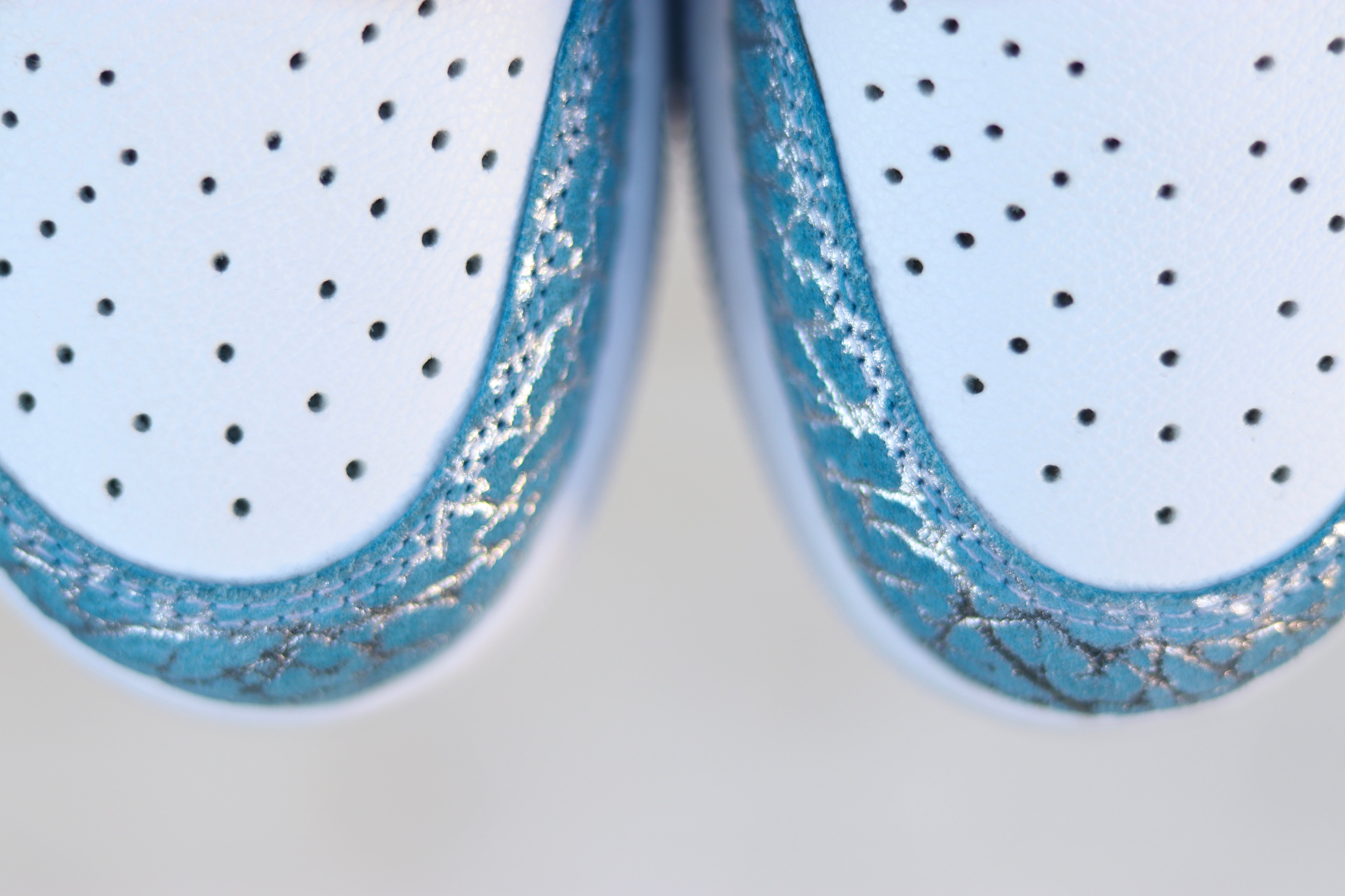 UNC Elephant Print