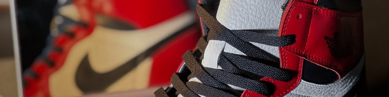 Kickxotic