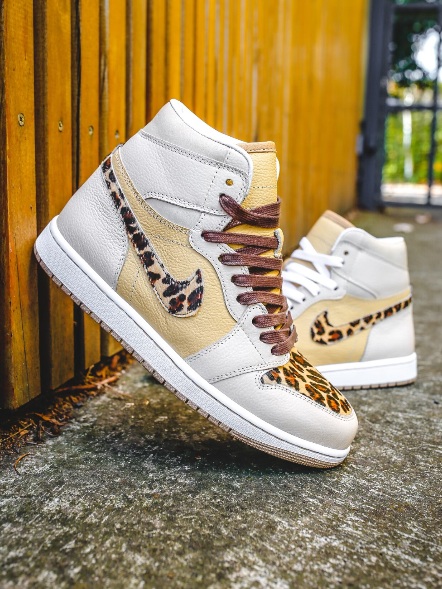 Leopard